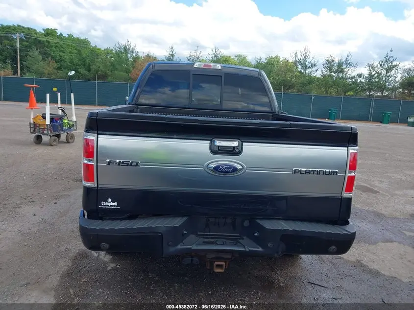 2013 FORD F-150 PLATINUM