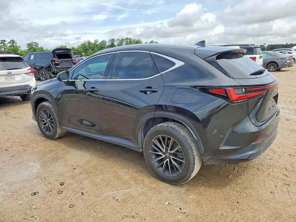 2024 LEXUS NX   