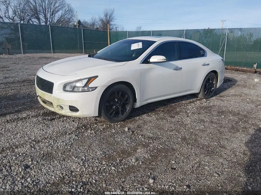 2013 NISSAN MAXIMA 3.5 SV