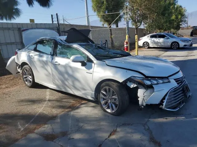 2019 TOYOTA AVALON XLE  