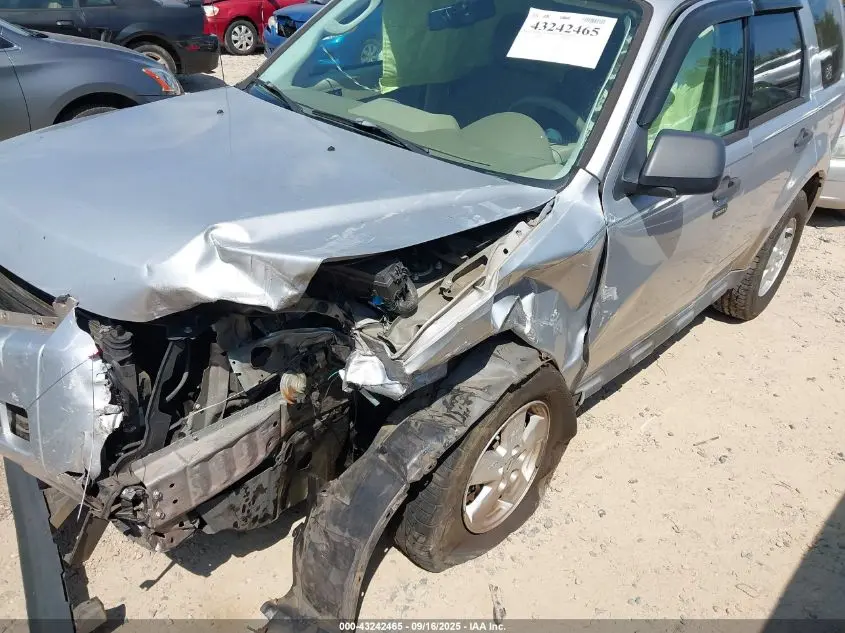 2010 FORD ESCAPE XLT