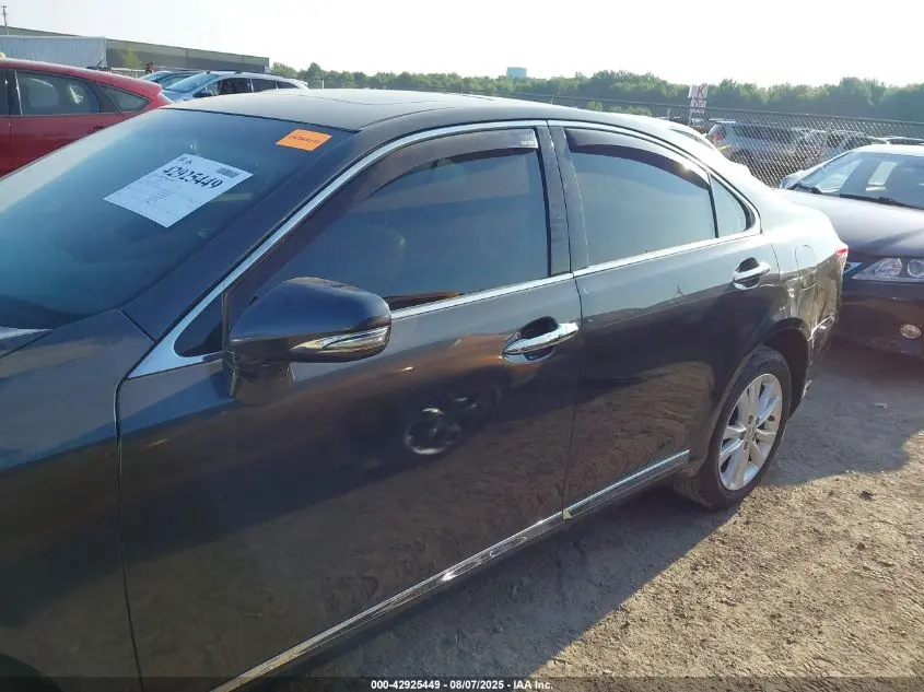 2010 LEXUS ES 350  