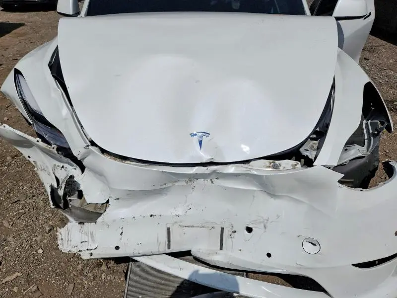 2020 TESLA MODEL Y   