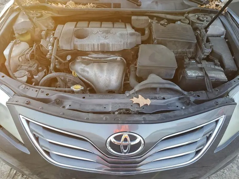 2010 TOYOTA CAMRY BASE  