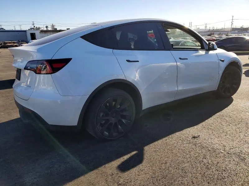 2020 TESLA MODEL Y   