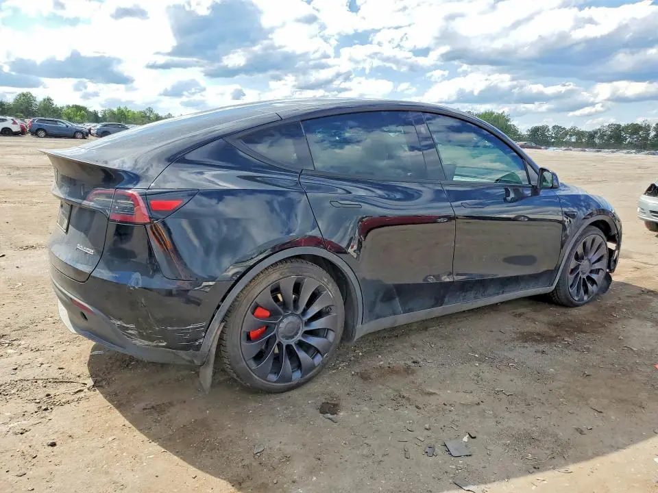 2025 TESLA MODEL Y   
