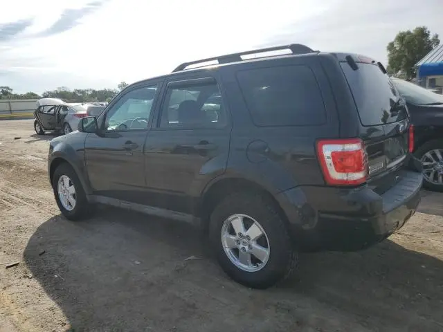 2011 FORD ESCAPE XLT