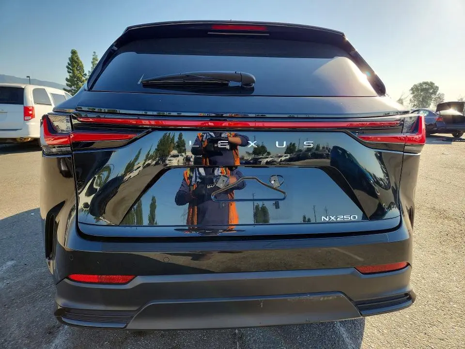 2025 LEXUS NX 250 PREMIUM  