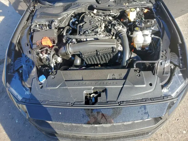 2025 FORD MUSTANG   
