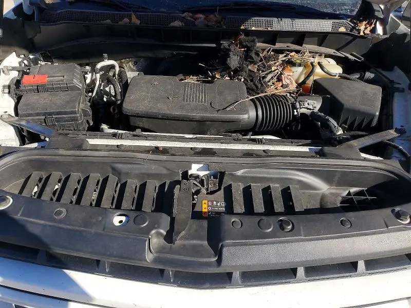 2019 CHEVROLET SILVERADO K1500 RST  