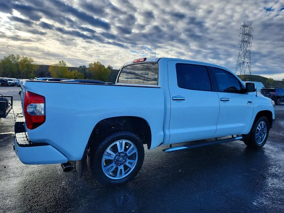 2019 TOYOTA TUNDRA 1794 EDITION  