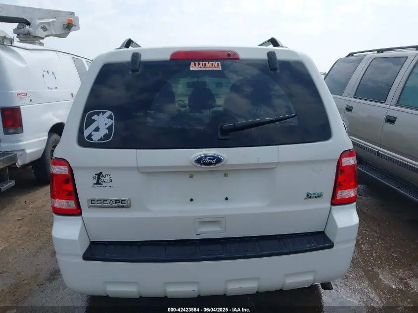2010 FORD ESCAPE XLT