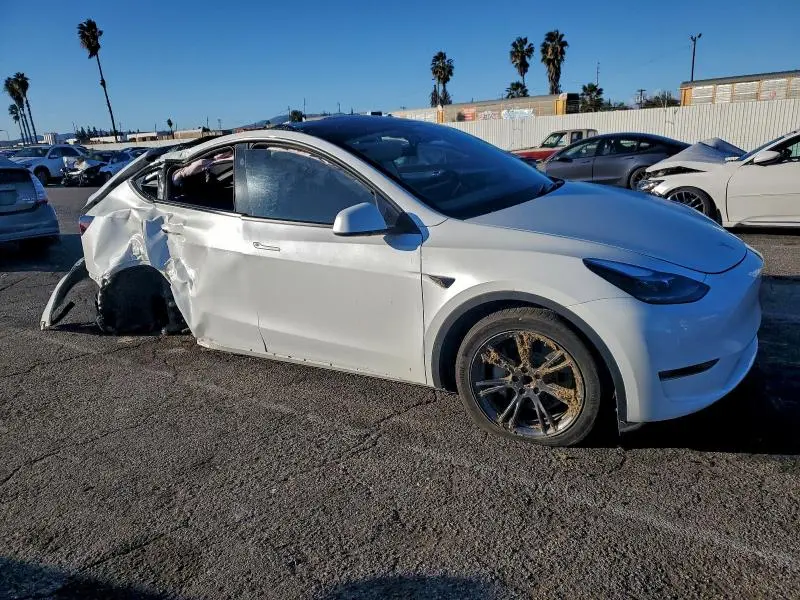 2025 TESLA MODEL Y   