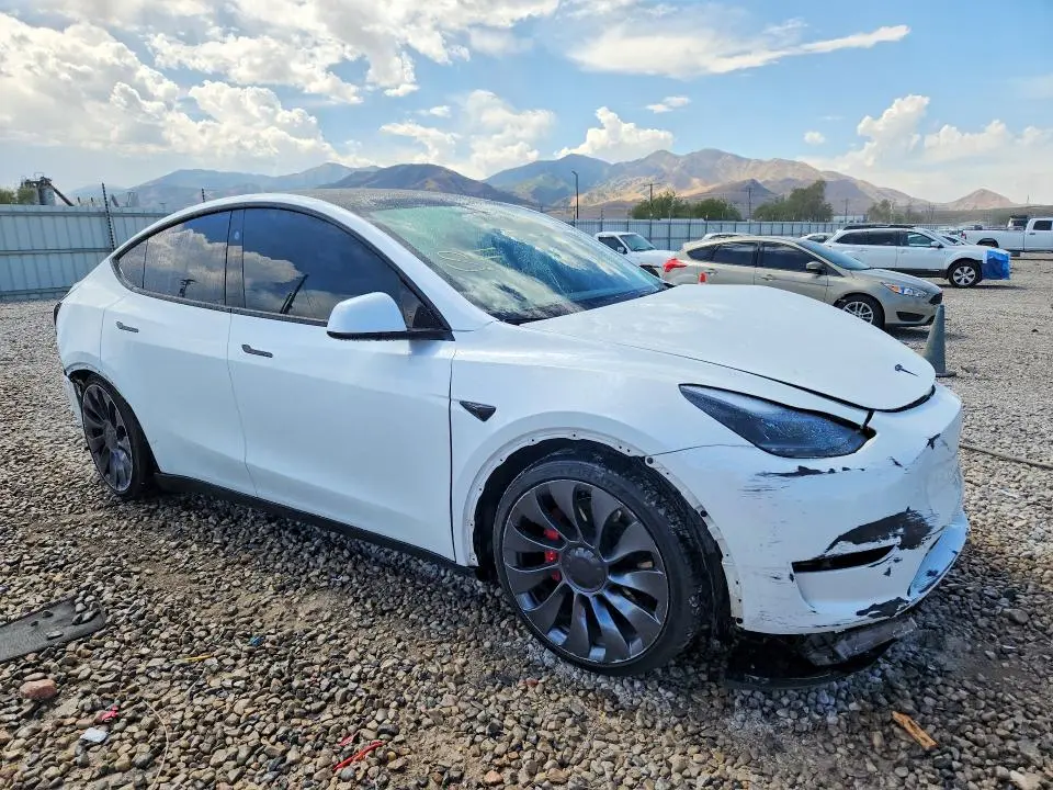 2023 TESLA MODEL Y   