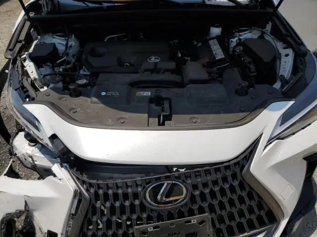 2024 LEXUS NX 250 BASE  