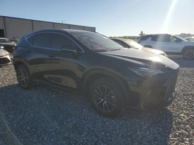 2025 LEXUS NX 250 BASE  