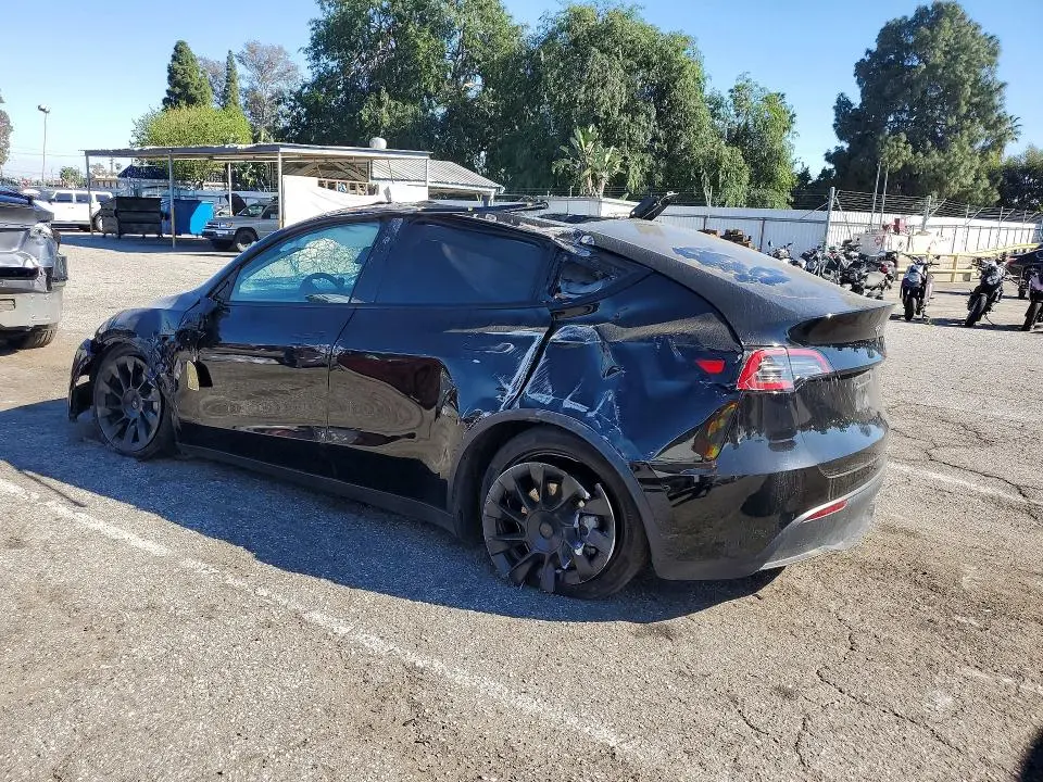 2024 TESLA MODEL Y   