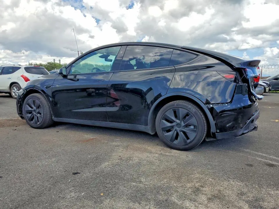 2025 TESLA MODEL Y   
