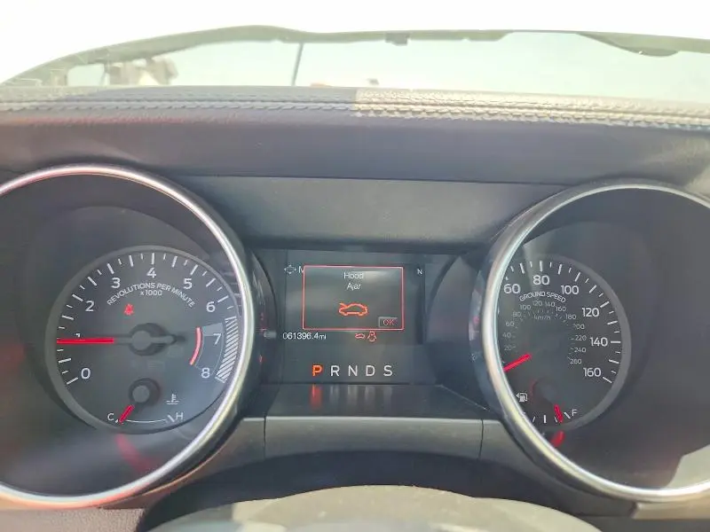 2019 FORD MUSTANG   