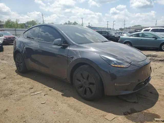 2025 TESLA MODEL Y   