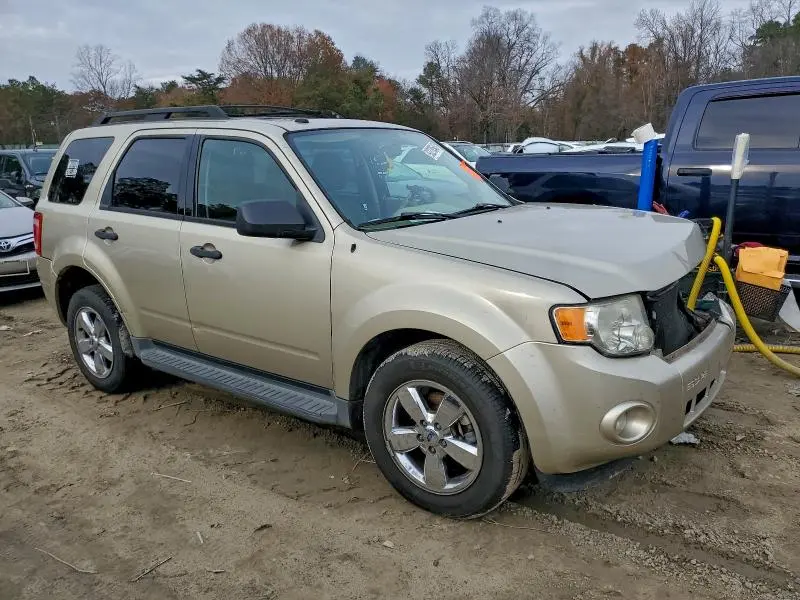 2010 FORD ESCAPE XLT  