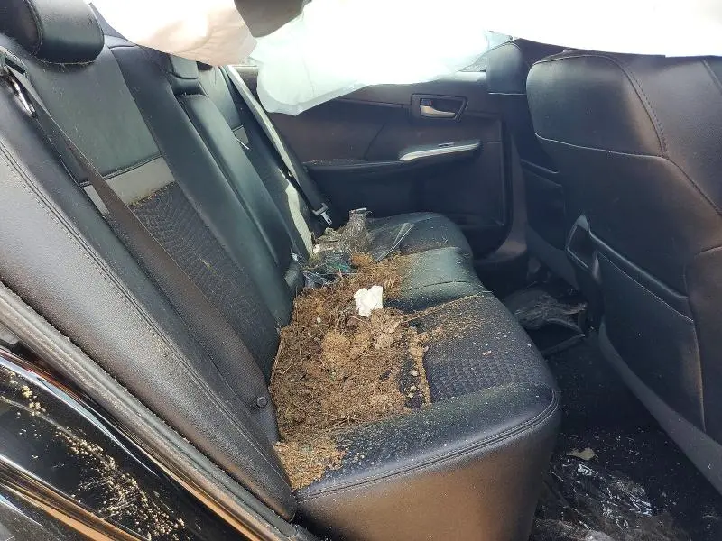 2014 TOYOTA CAMRY SE  