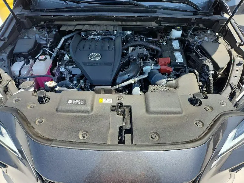 2024 LEXUS NX 350 F SPORT HANDLING  