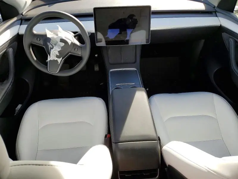 2025 TESLA MODEL Y   