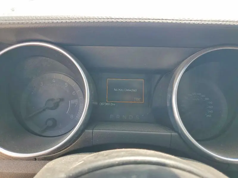 2019 FORD MUSTANG   