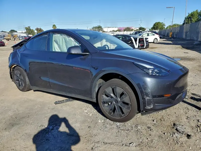 2025 TESLA MODEL Y   
