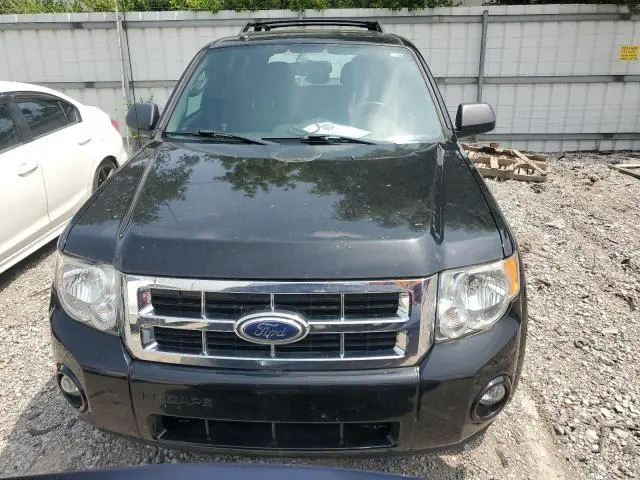 2012 FORD ESCAPE XLT