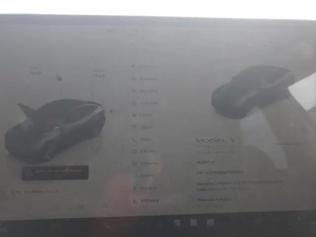 2023 TESLA MODEL Y   