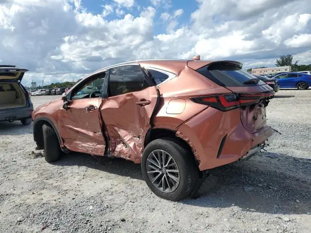 2025 LEXUS NX 250 BASE  