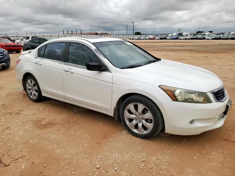 2010 HONDA ACCORD EXL  