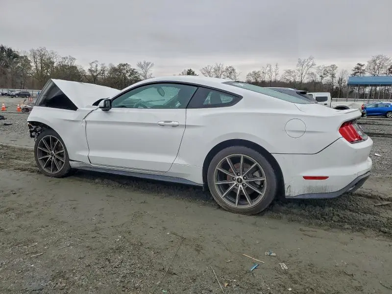 2019 FORD MUSTANG   