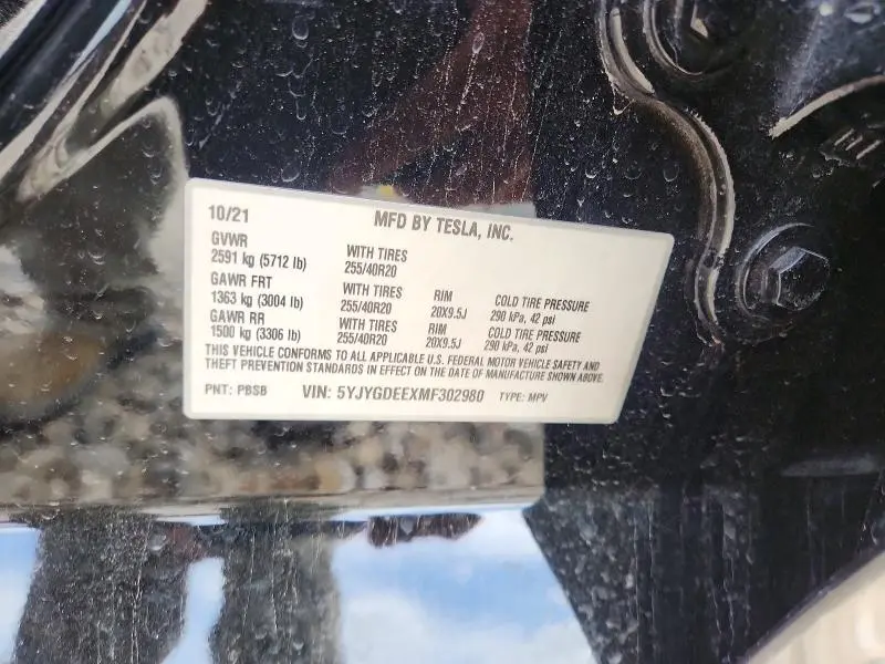 2021 TESLA MODEL Y   