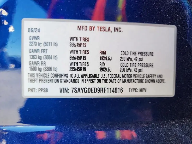 2024 TESLA MODEL Y   