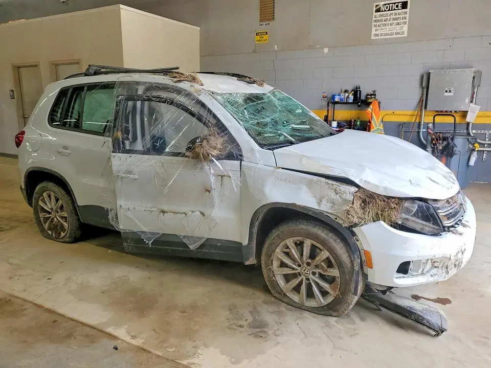 2017 VOLKSWAGEN TIGUAN S  