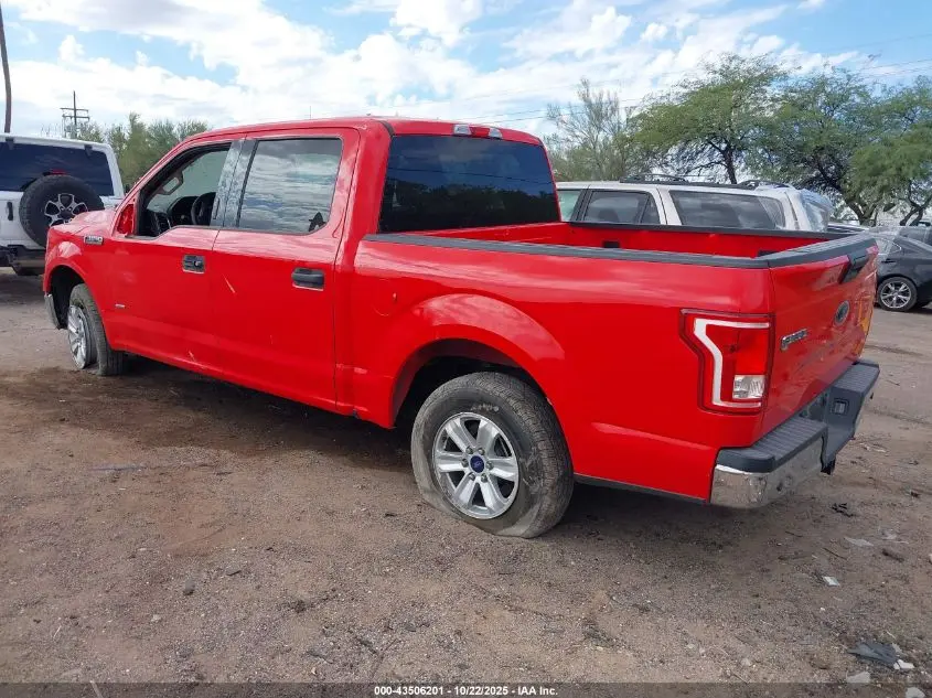 2015 FORD F-150 XLT