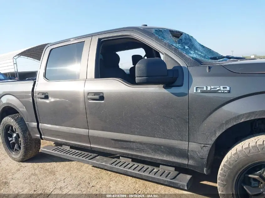 2019 FORD F-150 XL