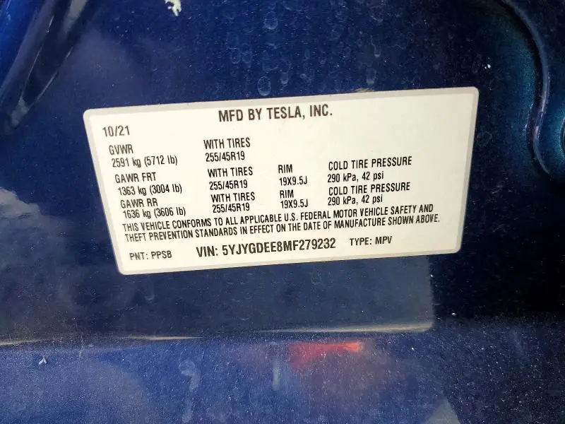 2021 TESLA MODEL Y   