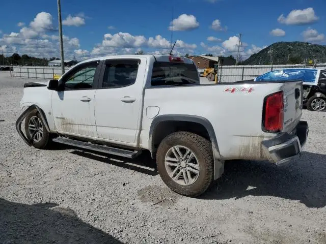 2019 CHEVROLET COLORADO   