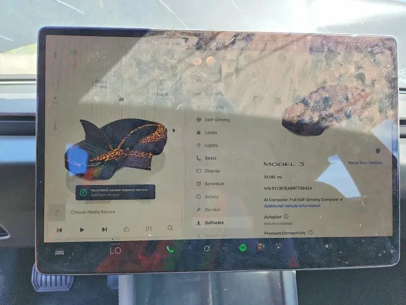 2024 TESLA MODEL 3   