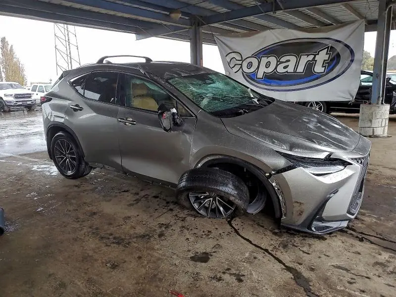 2024 LEXUS NX 250 BASE  