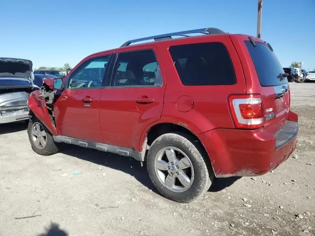 2011 FORD ESCAPE LIMITED  
