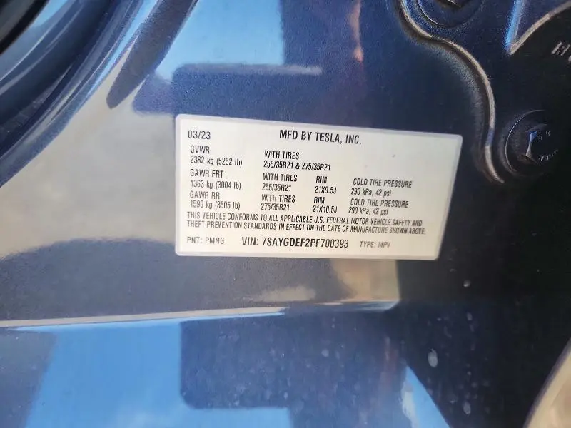 2023 TESLA MODEL Y   
