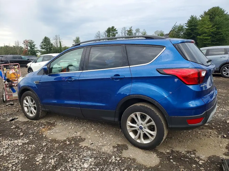 2019 FORD ESCAPE SEL  