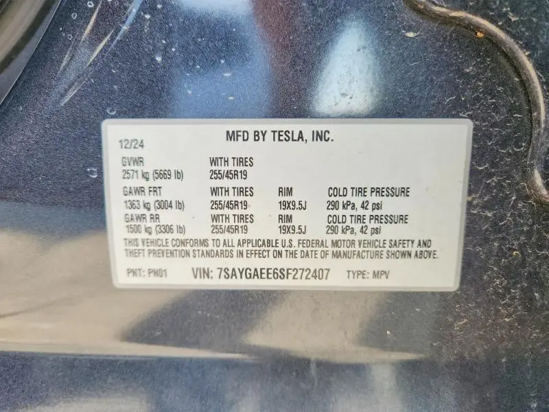 2025 TESLA MODEL Y   