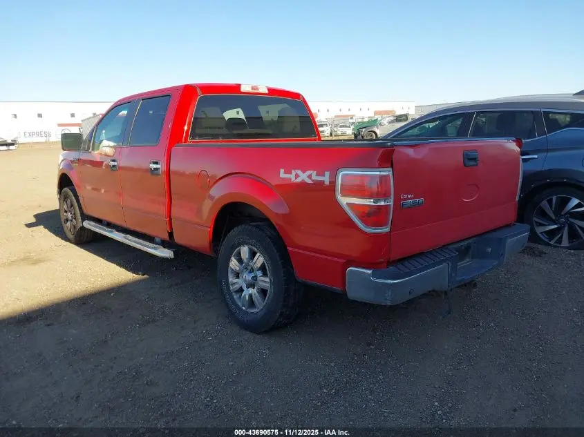 2010 FORD F-150 FX4/HARLEY-DAVIDSON/KING RANCH/LARIAT/PLATINUM/XL/XLT