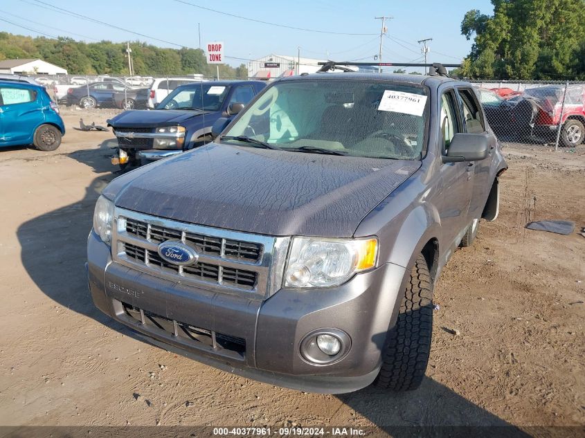 2011 FORD ESCAPE XLT